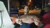 Justin with a nice mutton snapper caught night fishing aboard the Catch My Drift.JPG